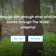 Image for article titled These Are Some of the Best Citizen Science Projects You Can Join With Just Your Phone or Laptop